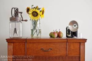 11924229_1000873045353_7584620623237603953_n